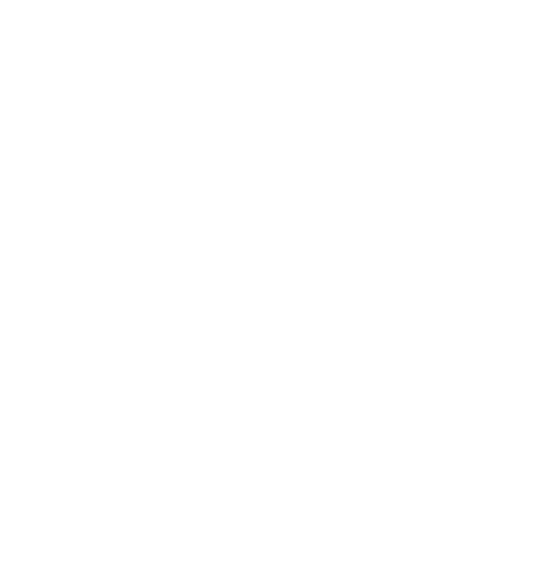 SRN Ventures logo